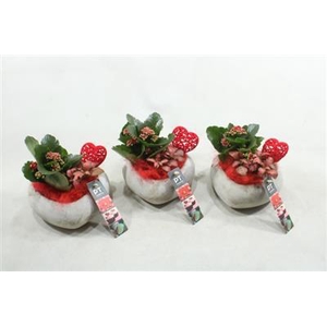 2278 X6 Rood Hart Beton