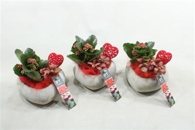 <h4>2278 X6 ROOD HART BETON</h4>