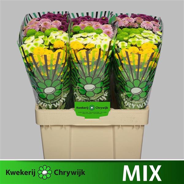 <h4>Chr San Mix In Bucket Chrywijk</h4>