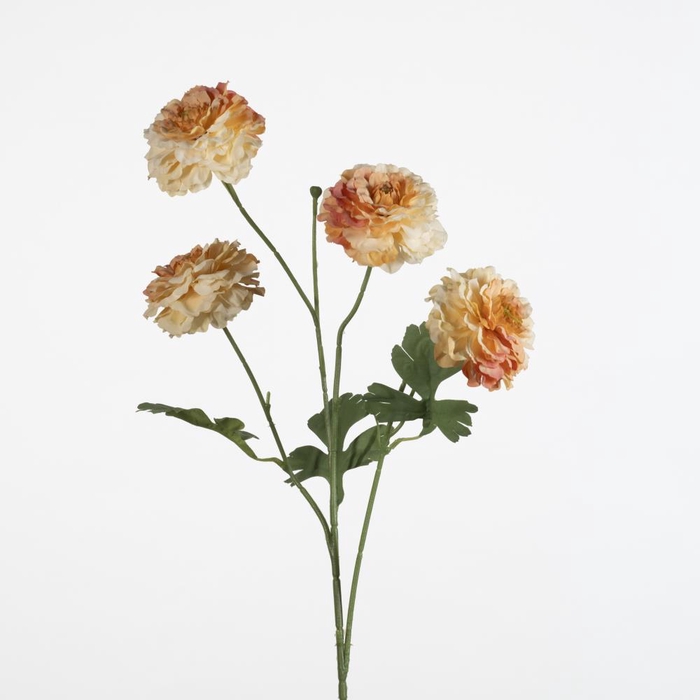 <h4>AF Ranunculus spr x4 L70cm or</h4>