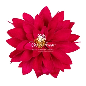 Dalia Pin03