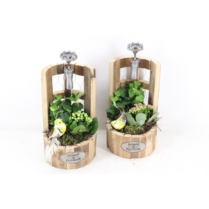 arr2 TD - Hout waterput - roze/wit