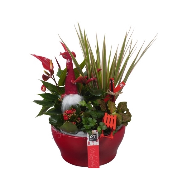 <h4>BMHW1610 Arrangement By Marleen Happy Winter in keramiek schaal</h4>