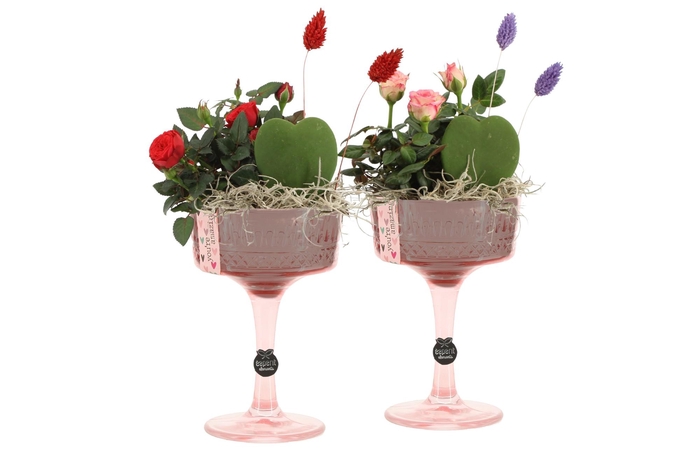 <h4>21582: Lovess arrangement</h4>