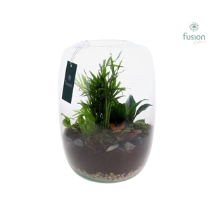 Green Bottle Isabella XLarge met Groene Planten