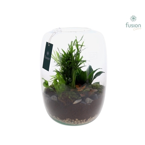 Green Bottle Isabella XLarge met Groene Planten