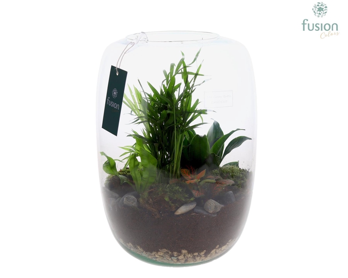 <h4>Green Bottle Isabella XLarge met Groene Planten</h4>