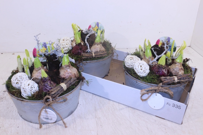 <h4>ARR BOL KNOLGEWAS</h4>