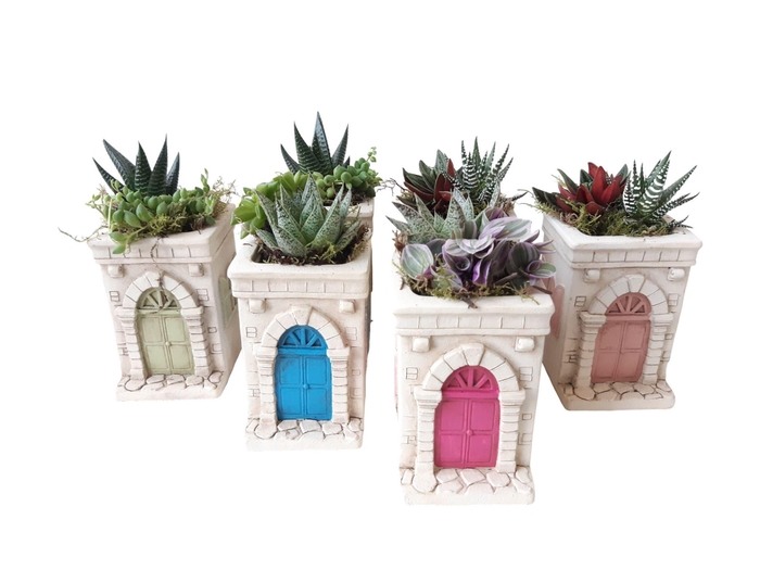 <h4>Arr.   Kamerplant Groen L%</h4>