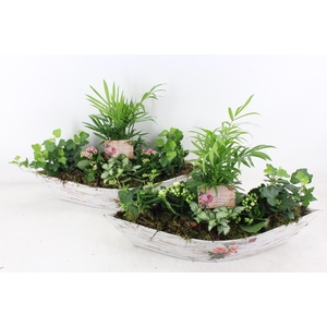 arr2 TD - Boot groot 6pl - roze/wit