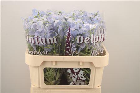 <h4>Delph En Ballkleid Pale Blue</h4>