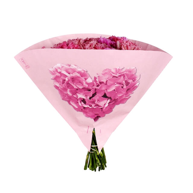 <h4>Hoes 35x35cm Angelo 70gr wit kraft Verena 500/doos</h4>