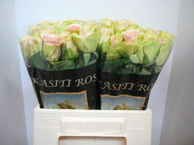 <h4>R Gr La Belle</h4>