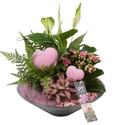 <h4>PTVMG4976 Arrangement Valentines-Mothersday in glas schaal</h4>