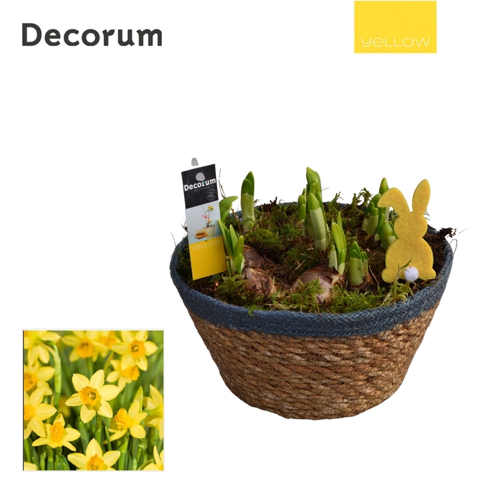 <h4>Narcis Urban schaal HL10915 [YELLOW]</h4>