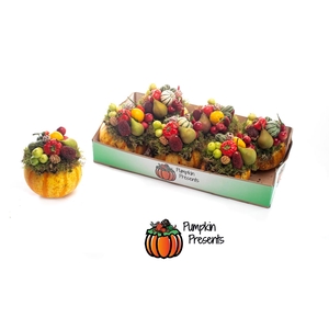 CUCURBITA PEPO