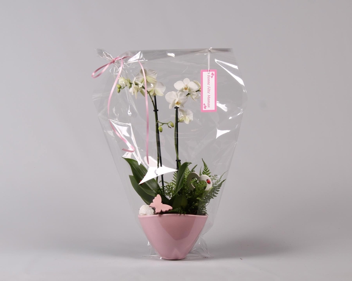 <h4>Keramiek Love Phalaenopsis</h4>