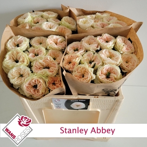 R GR STANLEY ABBEY