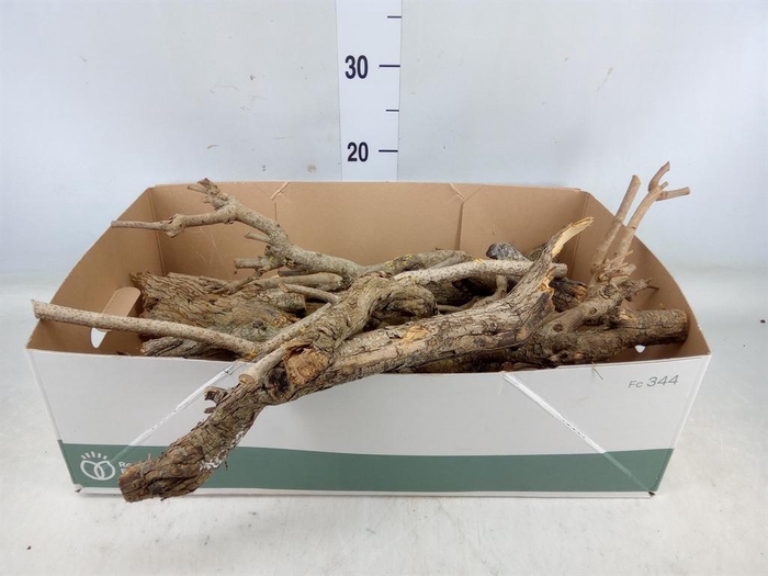 <h4>Hout   ...L%</h4>