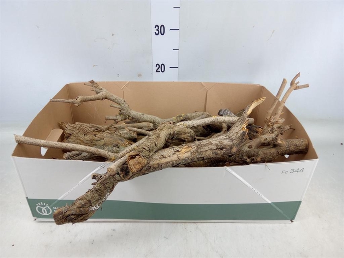 <h4>Hout   ...L%</h4>