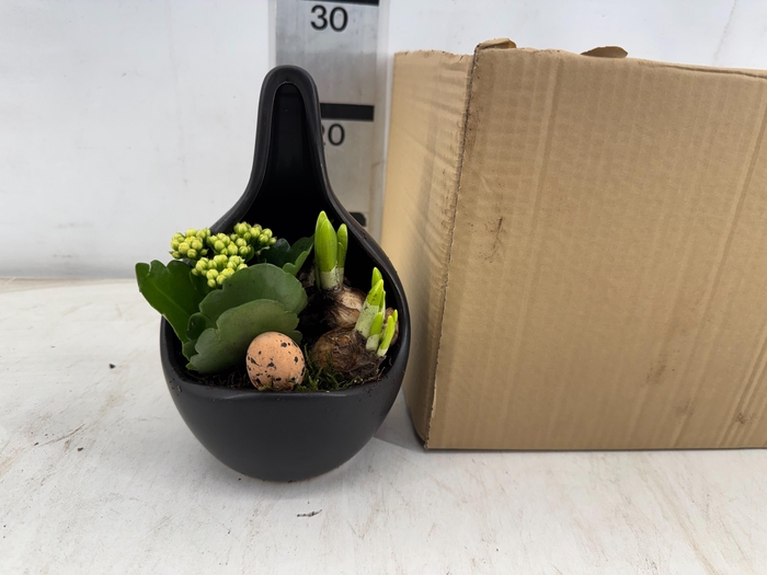 <h4>ARR N TETE A TETE</h4>