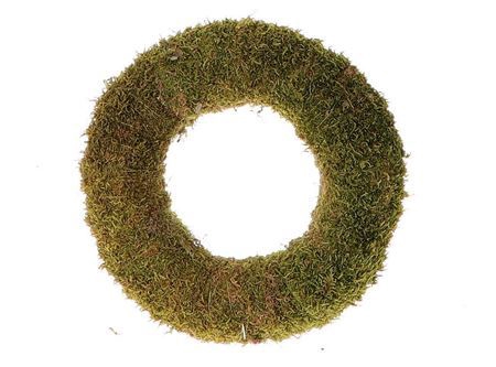 <h4>Wr Flat Moss H7d20</h4>