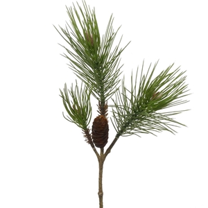 Af Pinus +cone L59cm Green