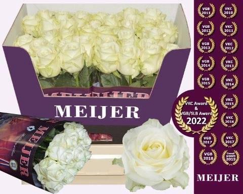 <h4>R GR AVALANCHE+ MEIJER 60cm</h4>