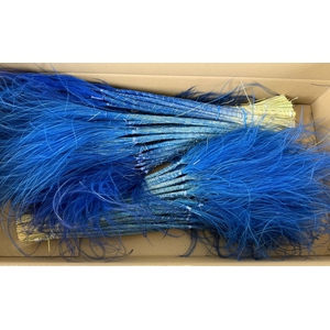 DF Stypha 60cm Bs Dark Blue