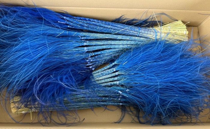 <h4>DF Stypha 60cm Bs Dark Blue</h4>