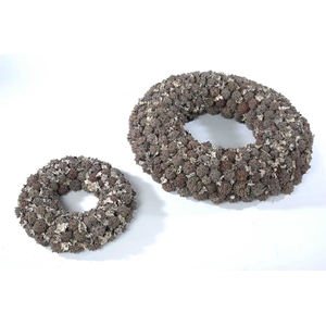 Wr Euca Knobs 25cm Natural