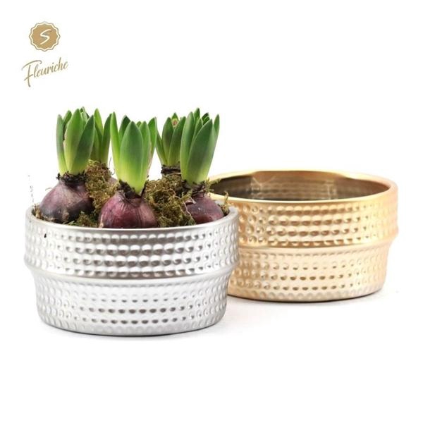 <h4>(5400) Hyacint Silver & Gold</h4>