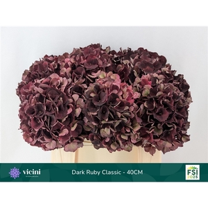 Hydr Dark Ruby Classic 40 cm Vicini