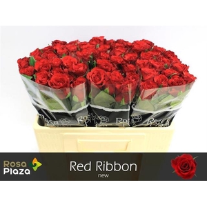 R GR RED RIBBON