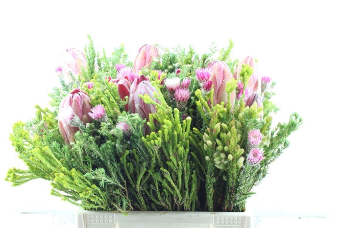 <h4>Protea Boeket</h4>