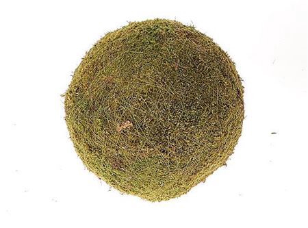 <h4>DECO BALL FLAT MOSS D20</h4>