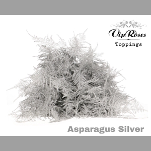 ASP OV 1E VEREN SILVER