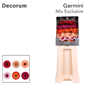 Germini Mix Exclusive Diamond