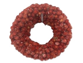 Wreath Gomphrena D15