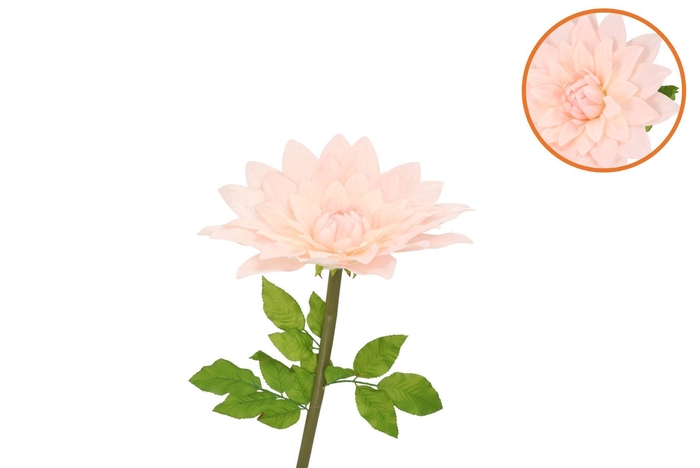 Silk Amazing Dahlia Beauty Peach L 35x100cm