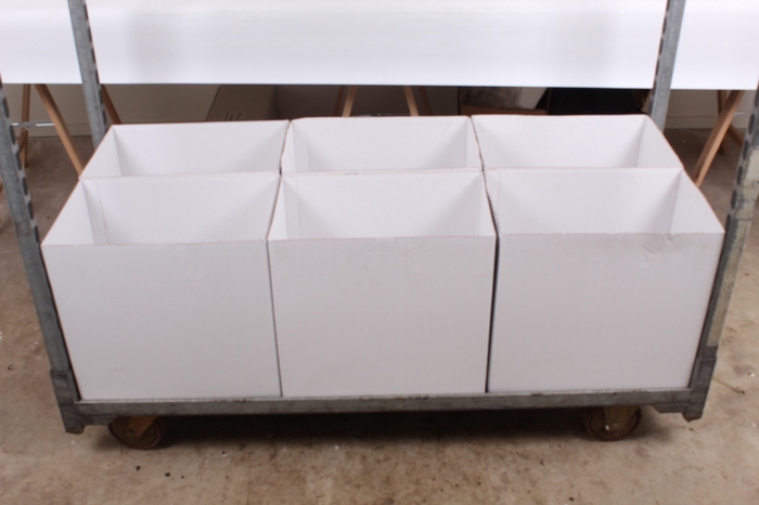 Aeschynanthus Swing ( met gekruld blad)