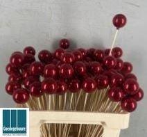 <h4>KERSTBAL OP STOK H%</h4>