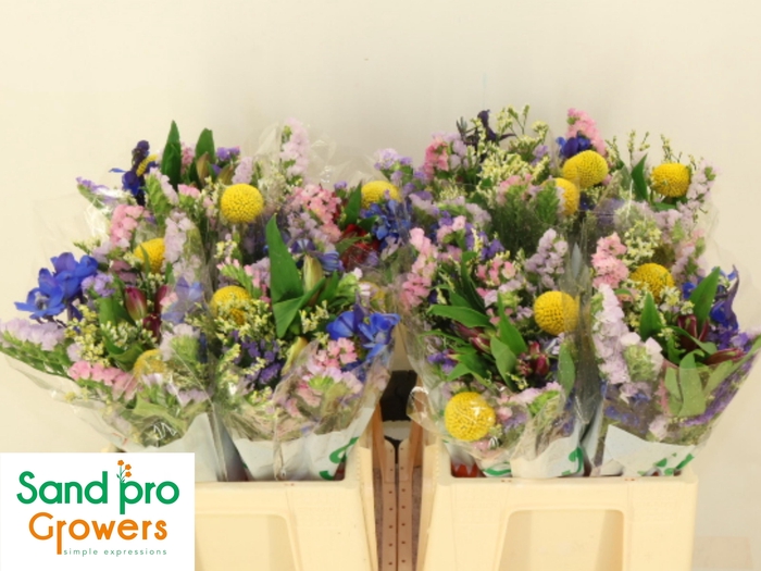 <h4>GEM ZOMERBOEKET</h4>