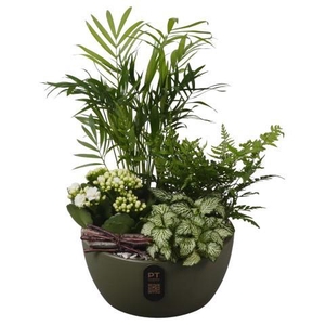 PTIB5145 Arrangement Indoor in keramiek schaal