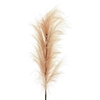 SILK FLOWERS - FEATHER SPRAY CREAM 160CM