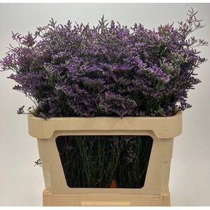 LIM SAF CLASSIC BLUE 45gr