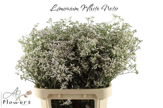 <h4>LIM WHITE NETO</h4>