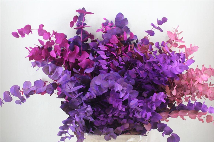 <h4>Euca Cinerea Mix Pink P Bunch</h4>