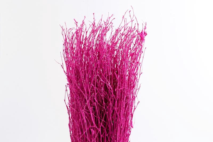<h4>Berk Klb Cerise</h4>