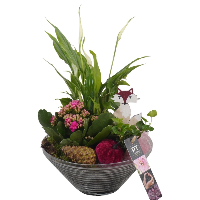 <h4>Arr.   Planten L%</h4>